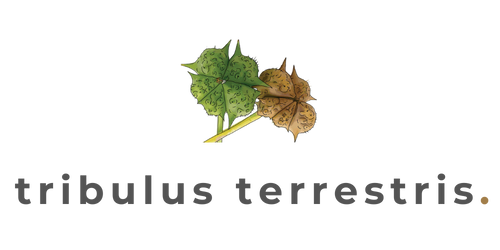 Tribulus Icon