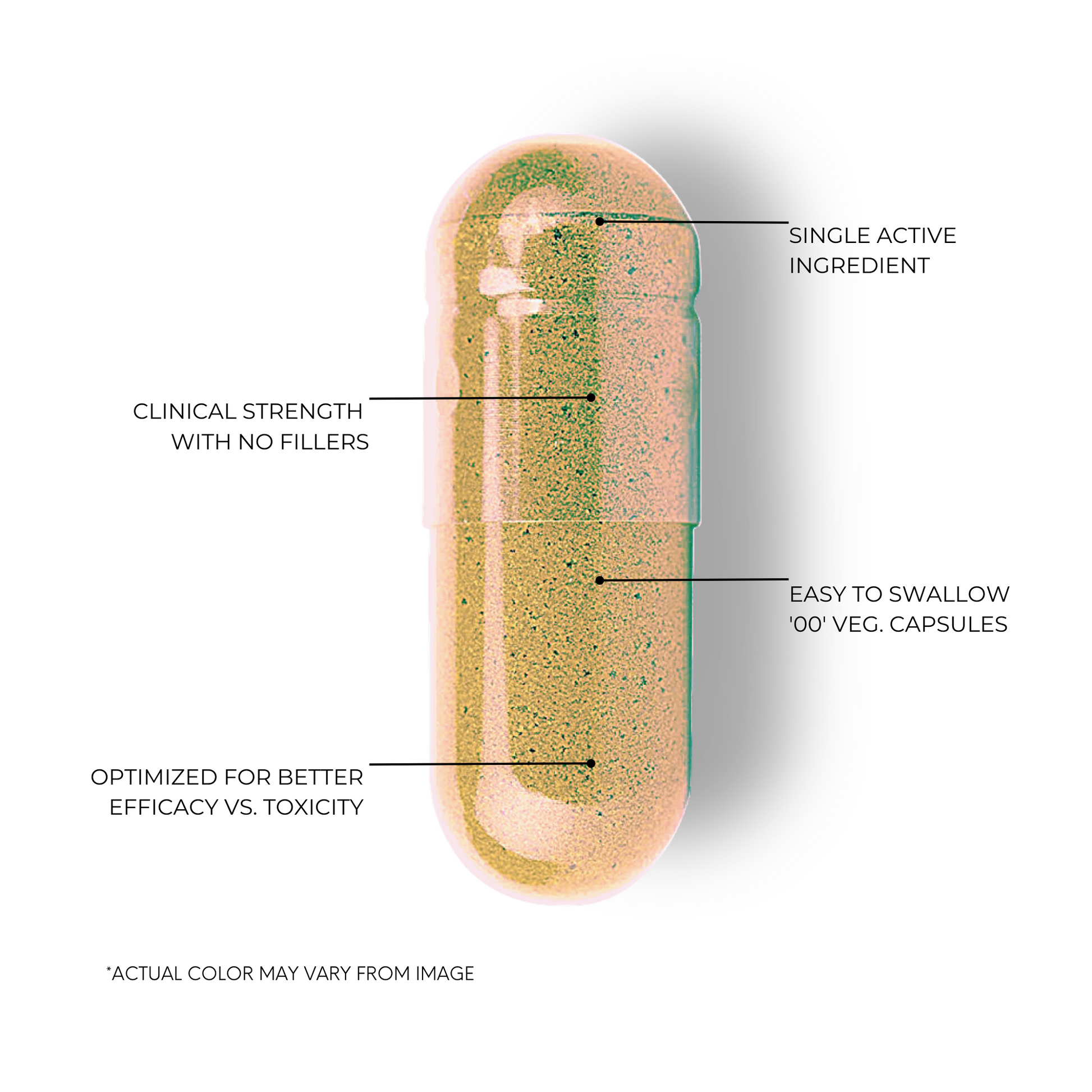 Ashwagandha Capsule